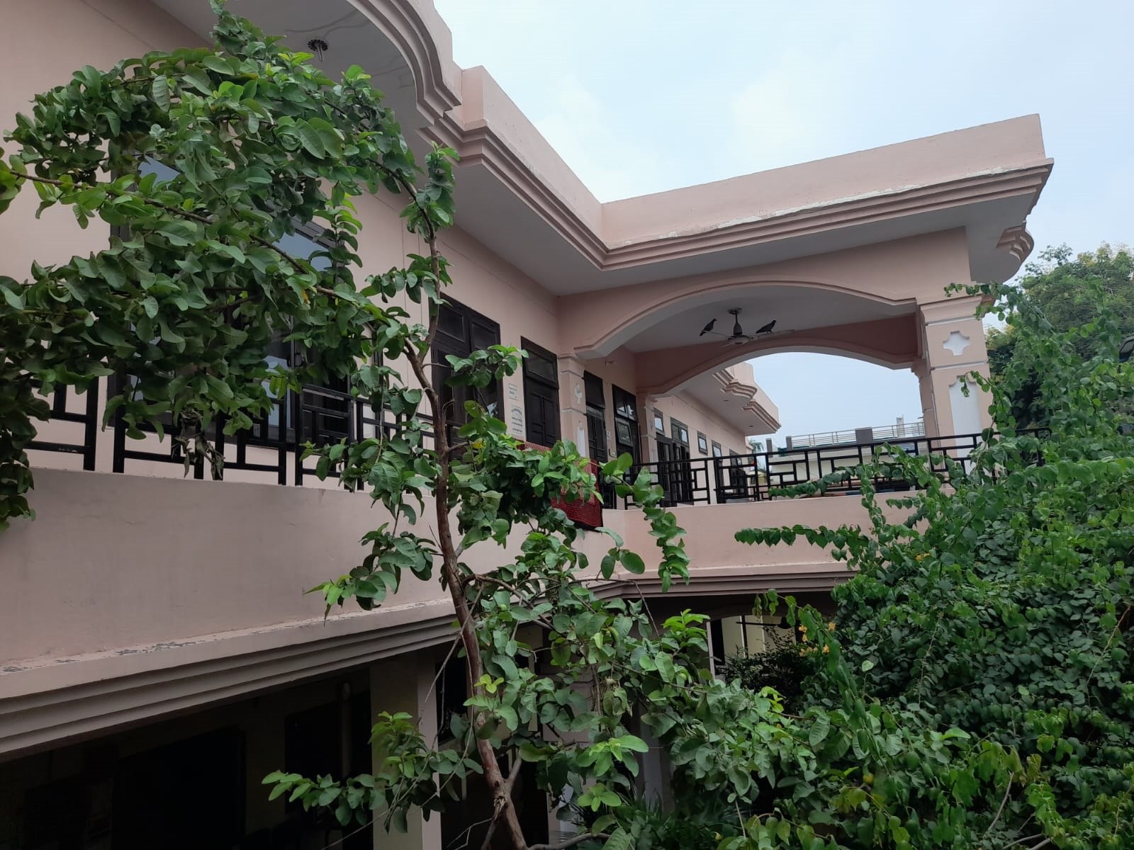 Garuda College